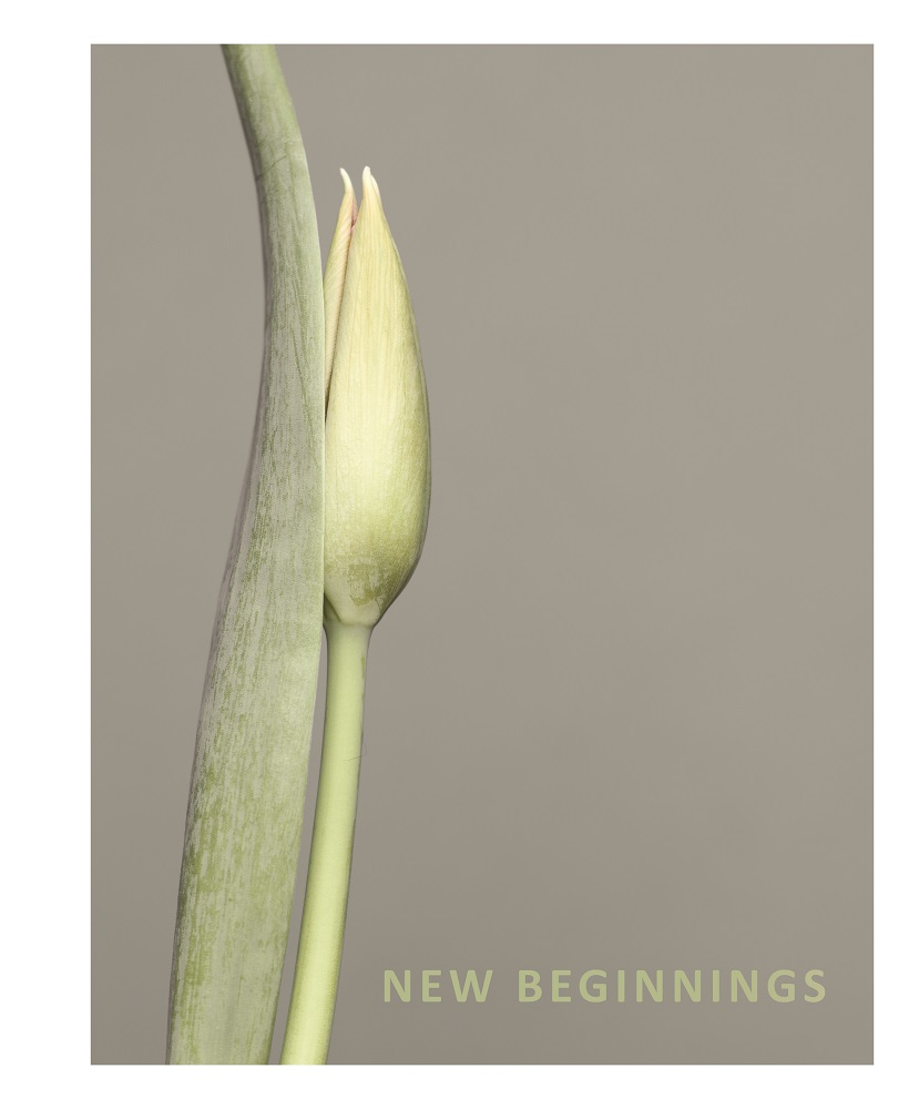 newbeginnings - cover